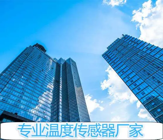 高品质高精度PT100铂电阻温度传感器生产厂家
